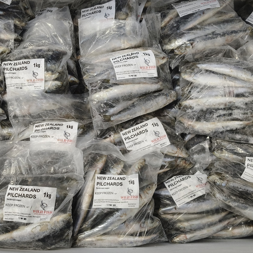 Premium 1KG frozen pilchards available at Warren Hay Marine, Whangarei. Fresh-caught and snap-frozen bait, ideal for snapper, kingfish & more. Your top source for quality bait in Whangarei.