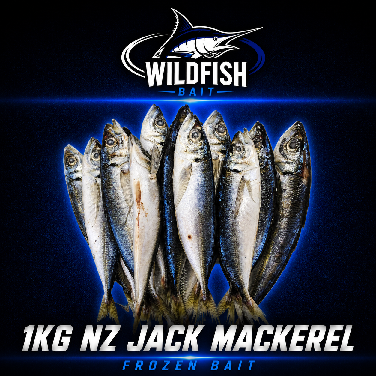 Wild fish 1kg small Jackmackerel frozen bait.