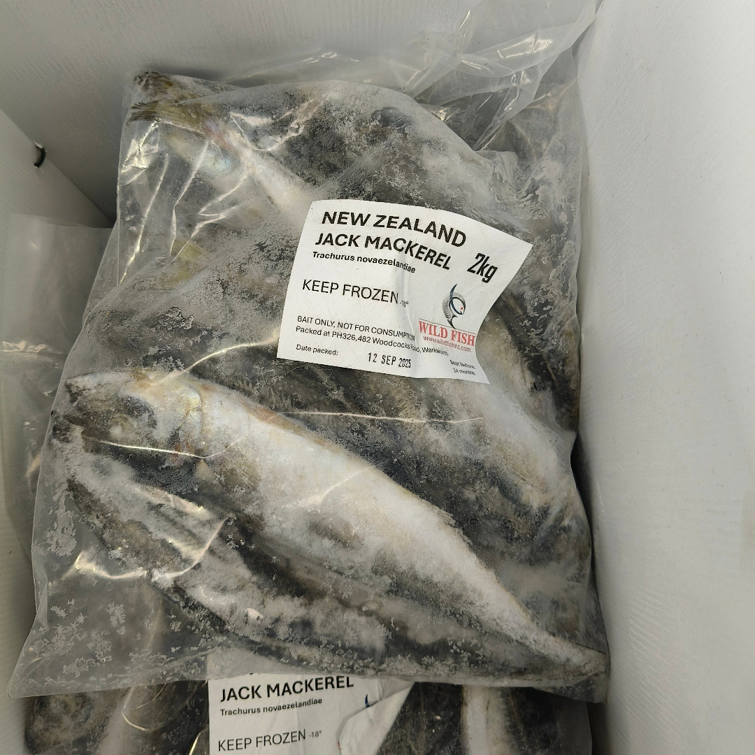 From ocean to the frozen within minutes, Wild fish Jack Mackerel are some of the freshest baits around