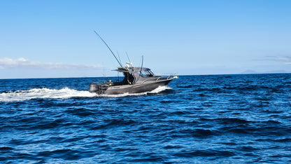 Extreme 795 Game King (2018) - Well-Appointed and Ready for Adventure