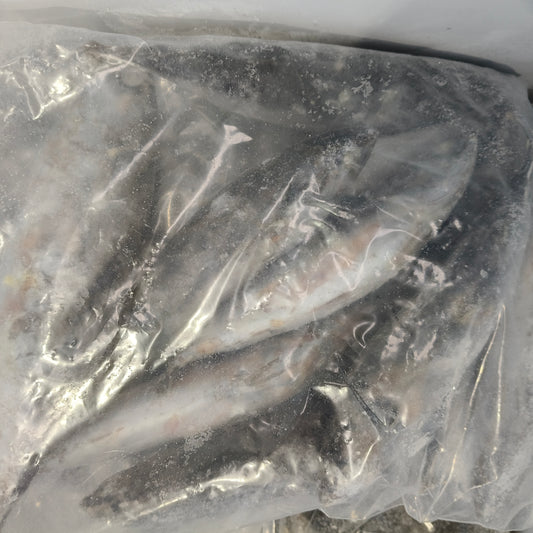 Bullet Tuna 2kg