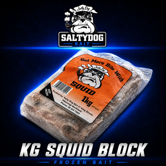 Saltydog 1kg frozen squid block fishing bait