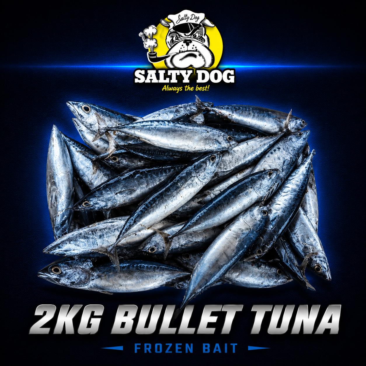 SaltyDog 2KG Bullet tuna frozen bait, Warren Hay Marine, Whangarei