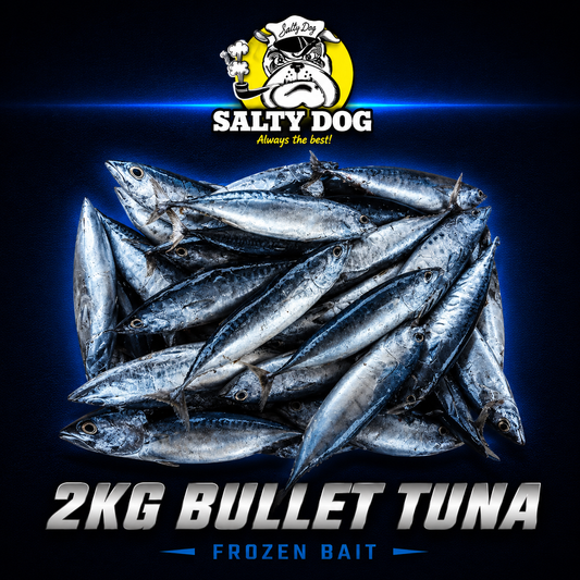 SaltyDog 2KG Bullet tuna frozen bait, Warren Hay Marine, Whangarei