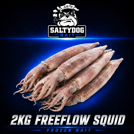saltydog 2kg freeflow squid frozen fihing bait