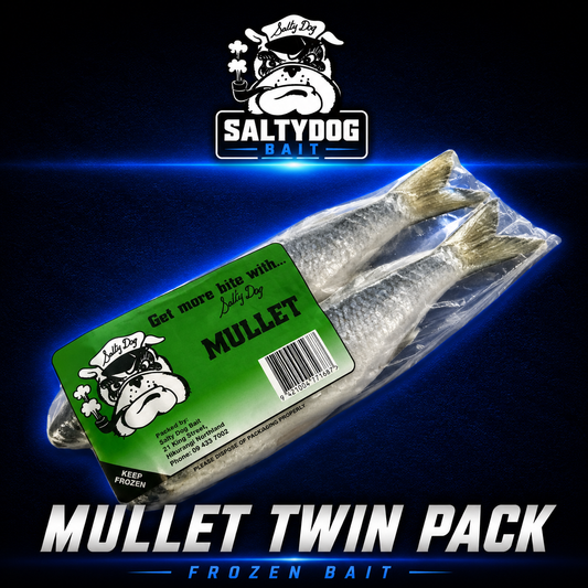 Saltydog mullet twin pack frozen bait