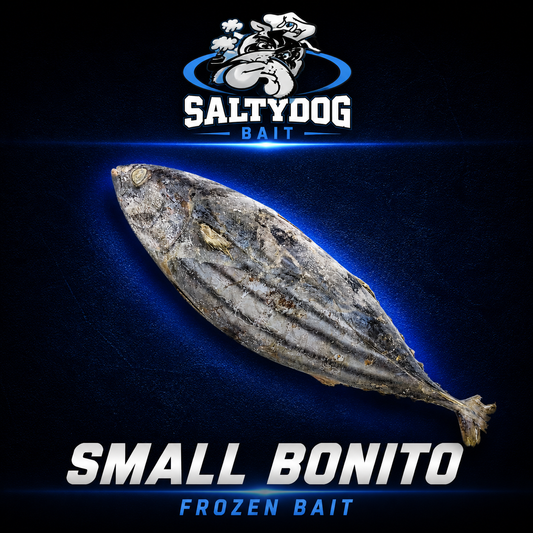 Saltydog frozen small Bonito. 