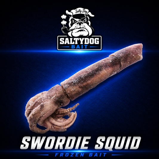 Saltydog swordie squid, ideal sword fishing froaen bait
