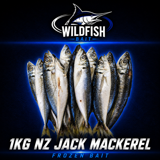 Wild fish 1kg small Jackmackerel frozen bait. 