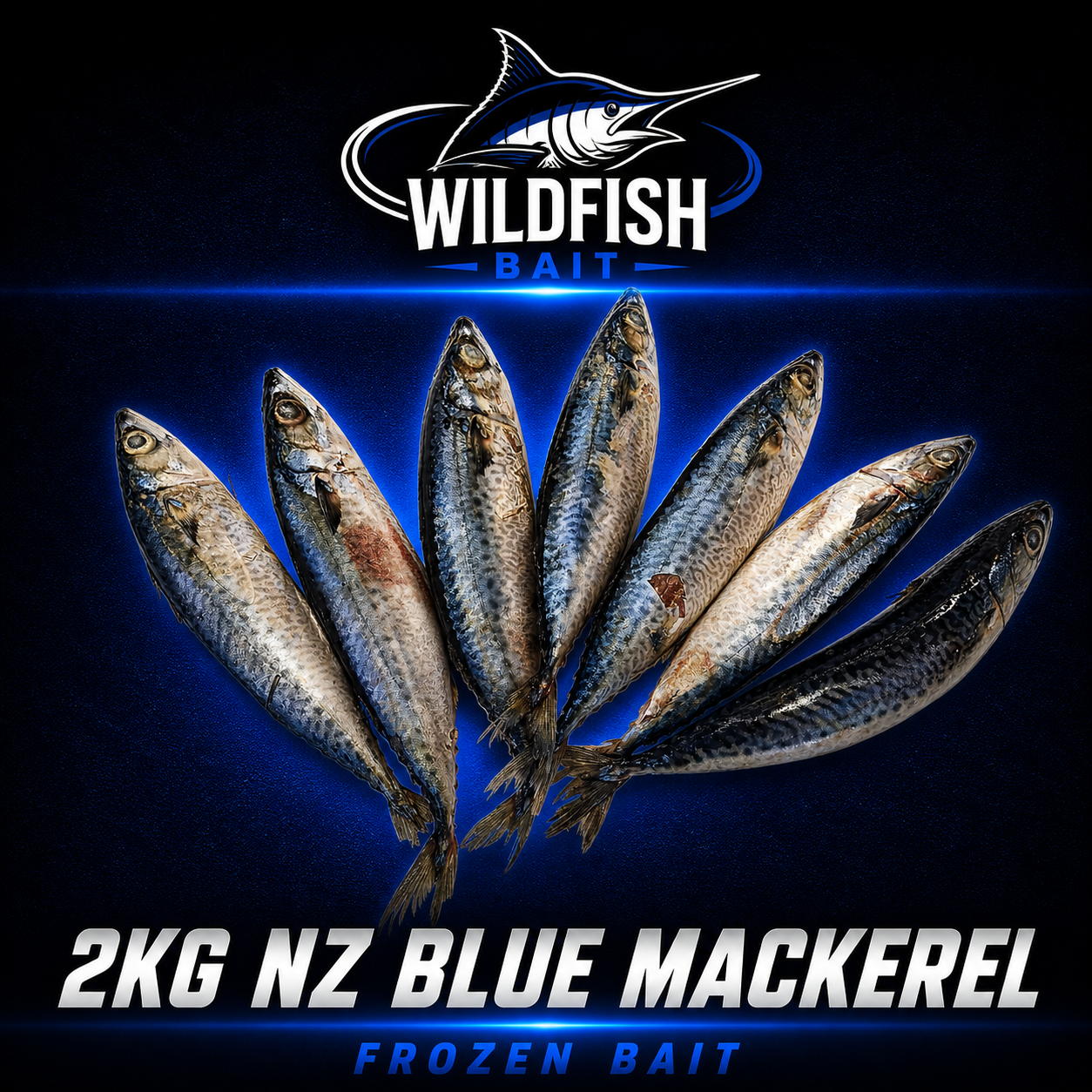 Premium NZ 2kg Blue Mackerel fish bait. 
