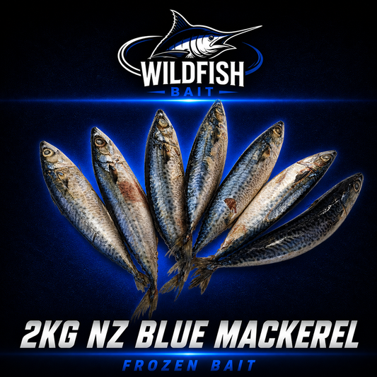 Premium NZ 2kg Blue Mackerel fish bait. 