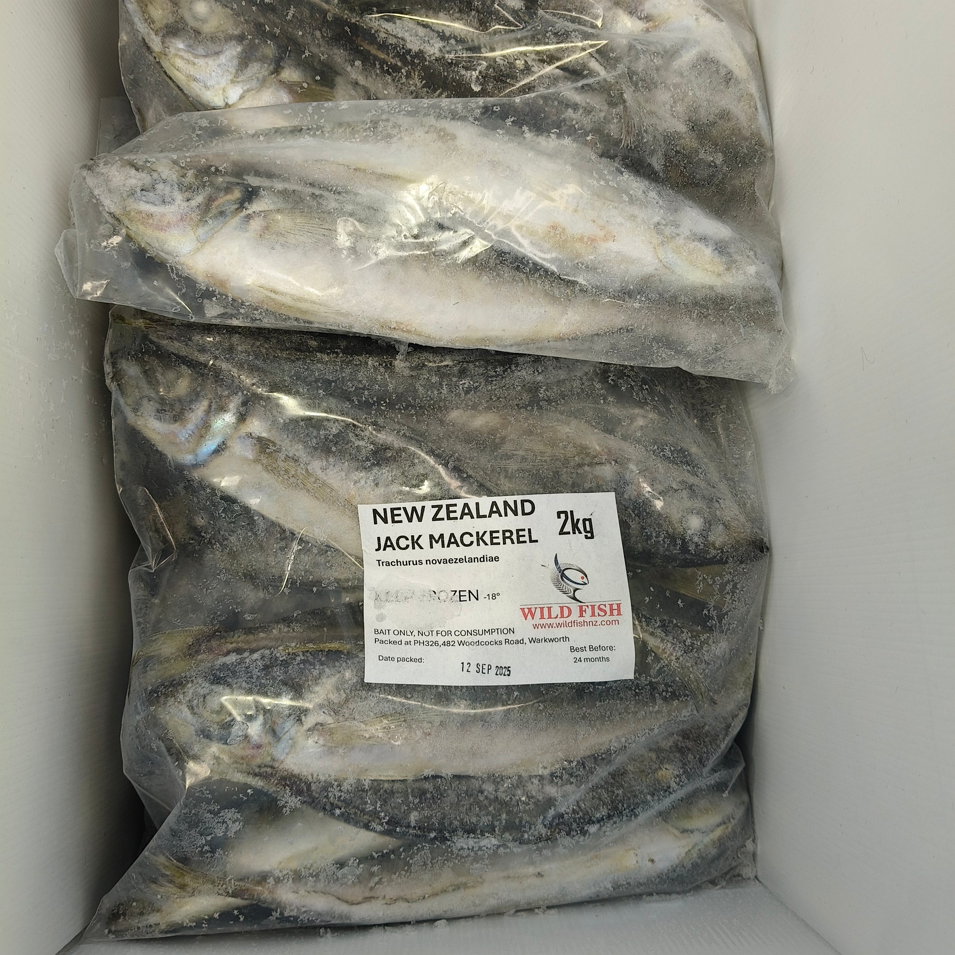From the ocean to frozen in minute, The wild fish 2kg Mackerel bait is fresh
