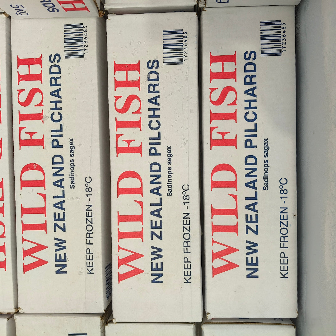 From ocean to Frozen with in minutes. Wild Fish 5KG Pilchards are as fresh as you get