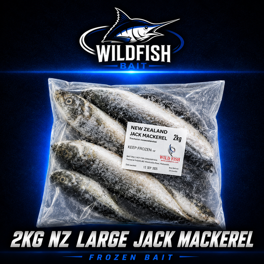 Wild Fish 2KG NZ large Jack Mackerel frozen fish bait