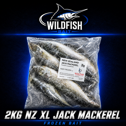 Wild fish 2kg NZ caught XL Jack Mackerel frozen bait