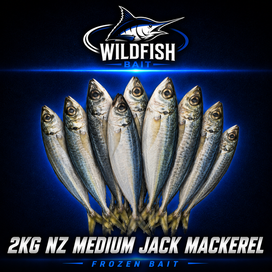 Wilf Fish 2KG NZ medium Jack Mackerel frozen bait