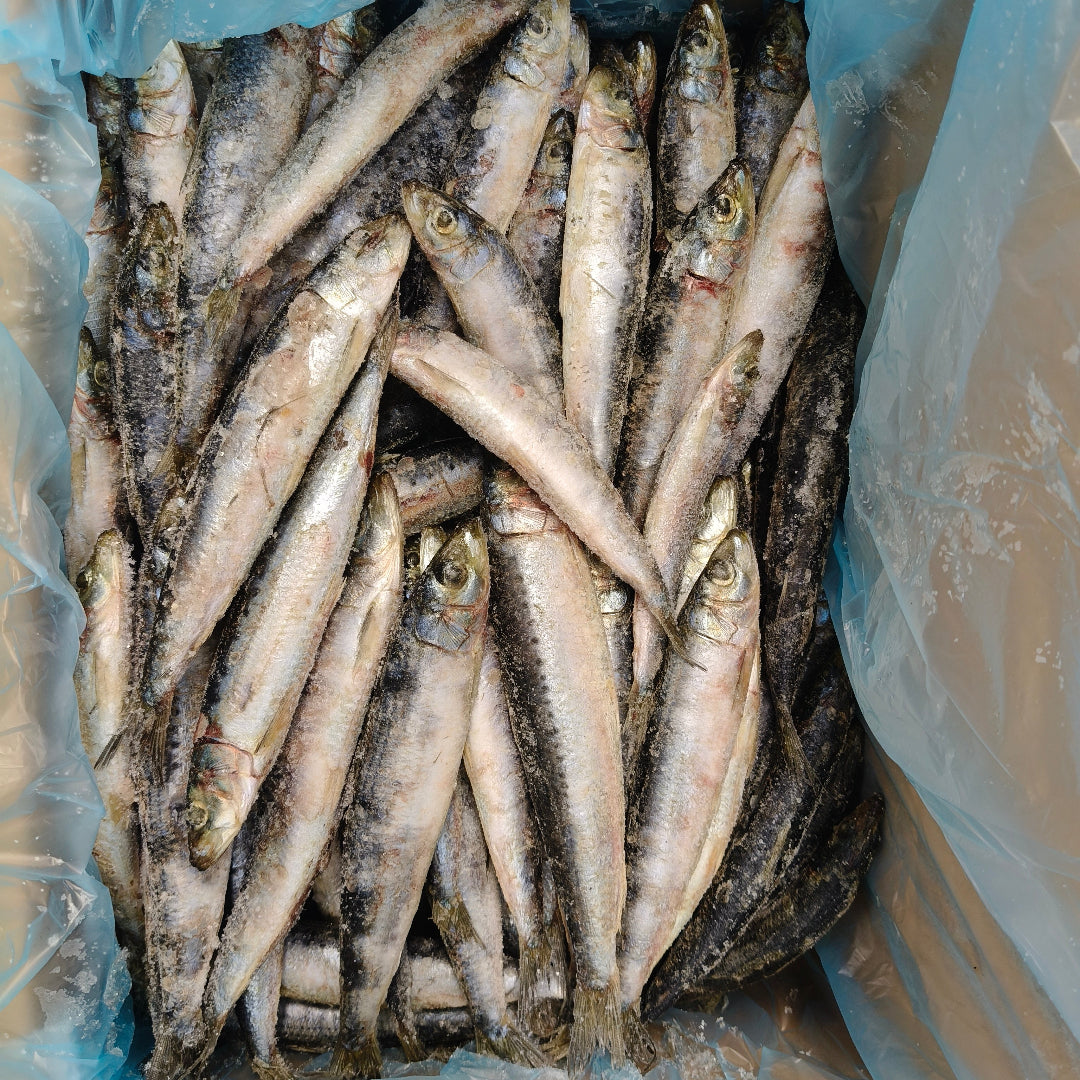 From ocean to frozen in just minutes, 5kg wild fish 