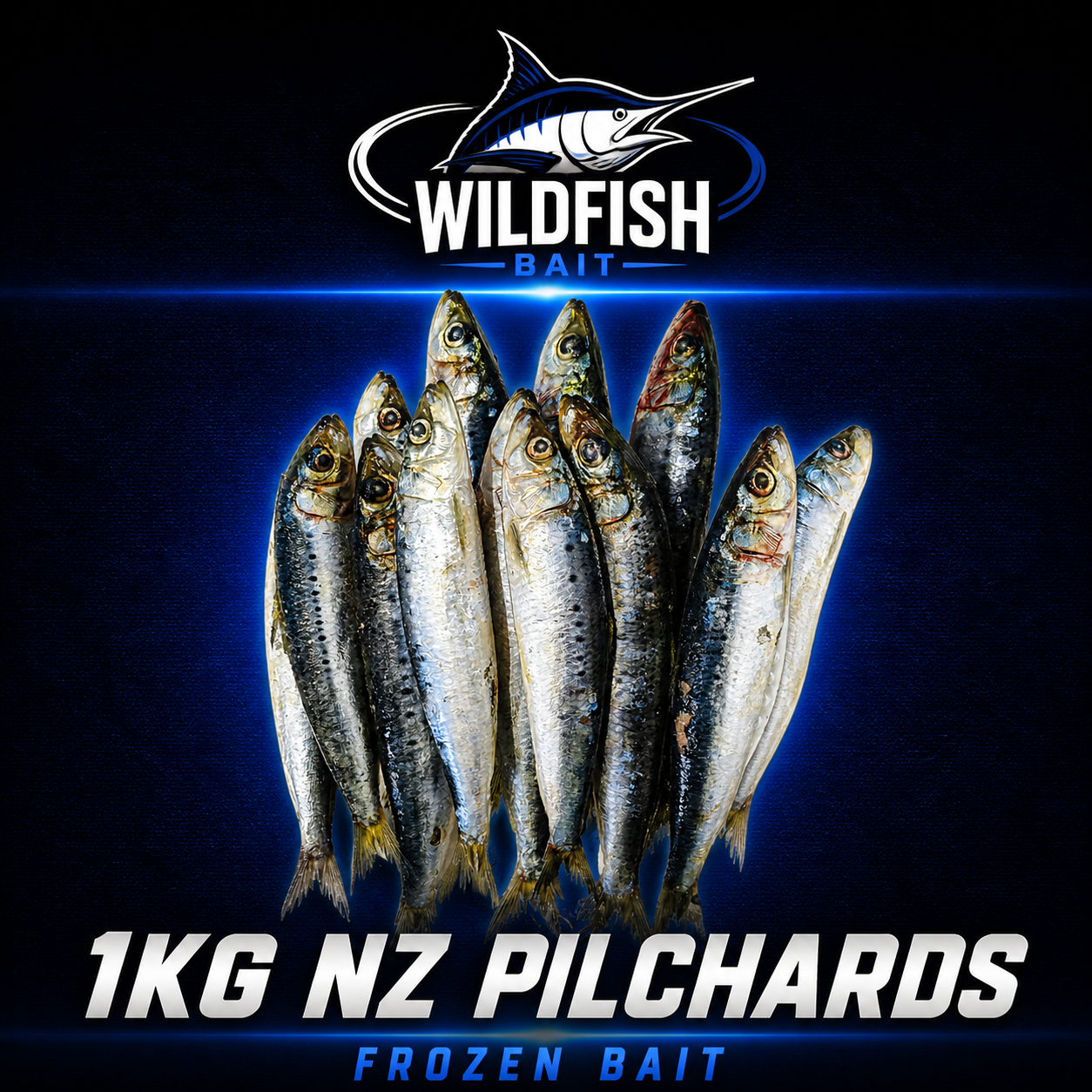 1KG NZ Premium Grade Pilchards