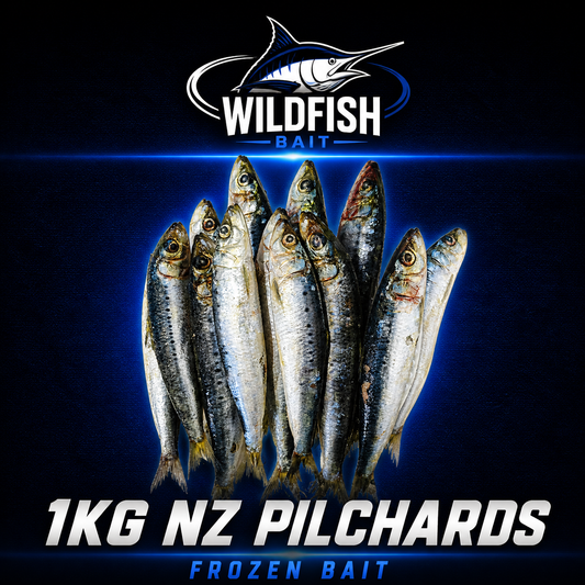 1KG NZ Premium Grade Pilchards